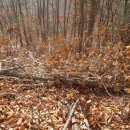 원정 농장 이미지