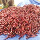 미실농장 이미지