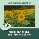 흥림경로당 이미지
