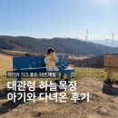 하늘토끼 | 아이와 가기 좋은 대관령하늘목장 자연 체험 솔직 후기