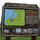 백조도래지 네이버블로그