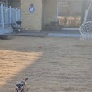 낄낄아놀자 이미지