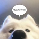 젠틀링서면
