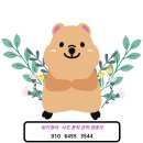 샐리영어교습소 - 여주시 세종로 253 | 샐리영어교습소