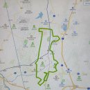 신방한라동백@ 1 이미지