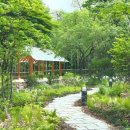 숲속토목설계사무소 | 남산 한국숲정원 위치와 가는 법 무료 개방 담양·제주·울진 정취 정원
