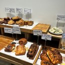 씨유 참사랑가능점 | [블챌] 꼭 해야할 일이 생겼을 때 딴짓하고 싶어지더라