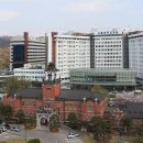 서울대학교 이미지