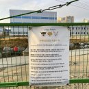 퍼피포레스트 이미지