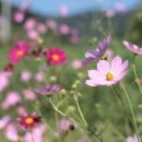 여물리체험마을 이미지