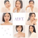 디 앨리스(The Alice)