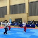 케이탑태권도 이미지