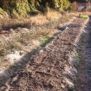 정례농장 이미지