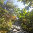 노고단-6 이미지