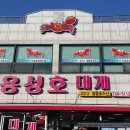 용성호대게 네이버블로그