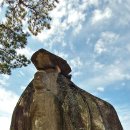 무릉도원면-39 이미지