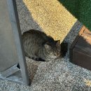 열린바다로펜션B동 | [강릉펜션] 더원 더클래식 B동 206호 내돈내산 후기 가성비 &amp; 장단점