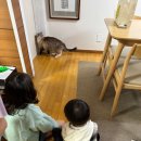 레오목장 2 이미지