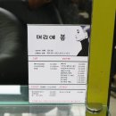 머리애봄 이미지