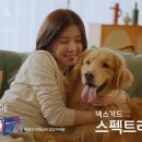 넥스가드