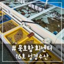 동해활어회센타 | # - 동해 묵호 수산시장, 묵호항 활어회센터 '성경 수산' 내돈내산 후기!