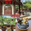 맑은산장2 | 춘천여행 이색 디저트 맛집 춘천 대형 카페 추천, 대룡산장