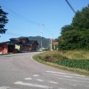 두메아리 이미지