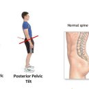 단하나피티 이미지