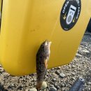 상유 마을회관 이미지