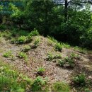 삼거2리 마을회관 이미지