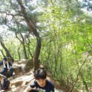 크로스핏 얼티메이트 이미지