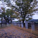 순흥보건지소 이미지