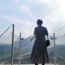 탄천계란