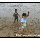 갯벌의 추억 이미지