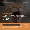 심동물병원 이미지