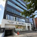 정말로동물병원 | 안과는 장비빨이라더니... 대학병원급 장비 다 갖춘 엠에스동물안과병원 방문기