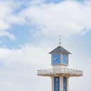 청도천로1 Daum카페