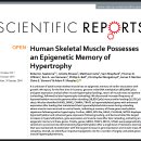 머슬메모리 이미지