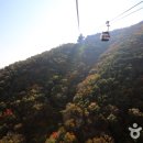 케이블카파크랜드 오토캠핑장 이미지