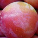 호준농장 이미지