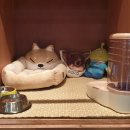 산책가까 이미지