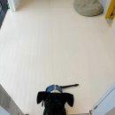 다온그루밍 이미지