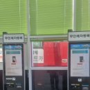 공항카정비 | 제주도 나홀로 여행! 숙소 및 제주공항렌트카 추천