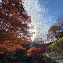 일출과 일몰 | (백아산 백패킹 후기 ) 백아산 마당바위 헬기장 박지. 일출과 일몰.운해 맛이 최고 였어요!