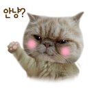 파리크라상여의도주