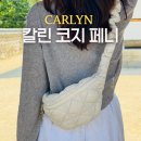 그레이 - 동구 서석로 33 | 여행용 크로스백 칼린 코지 페니 H73113010 스프링 그레이 구매 후기