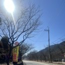 좋은인연펜션 | 양산 원동 미나리삼겹살 9번 좋은인연 내돈내산 추천