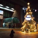 광명시립소년소녀합창단 정기공연 이미지