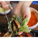 대가생태랑동태랑 이미지