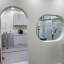 파우더-Dog 이미지